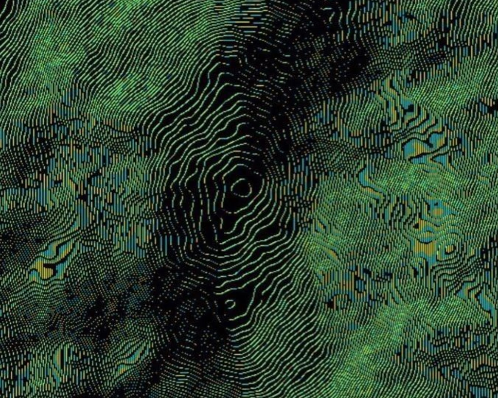 fingerprint-like diagram
