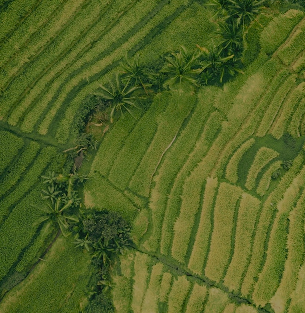 drone shot showing a green field
